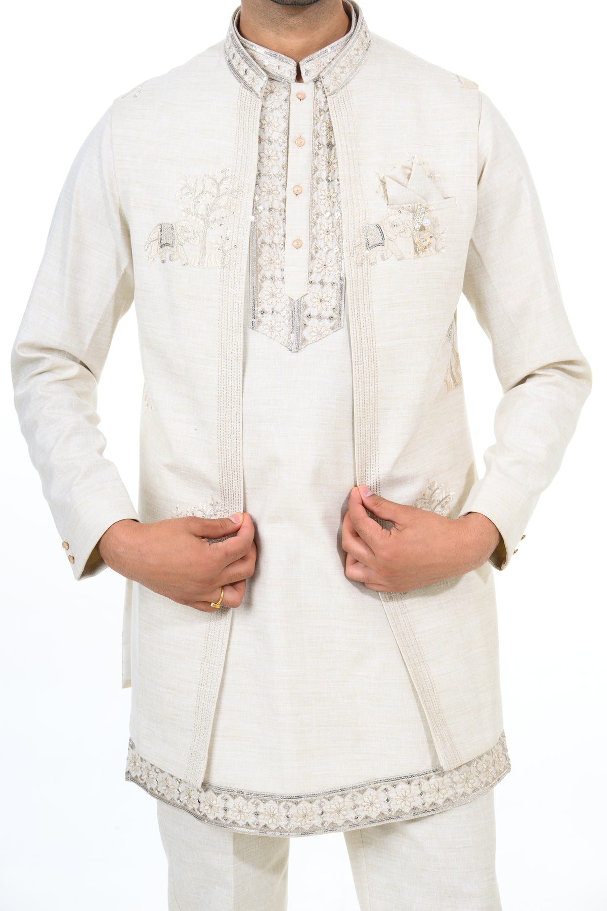 Natural Heritage Layered Indo Western Set