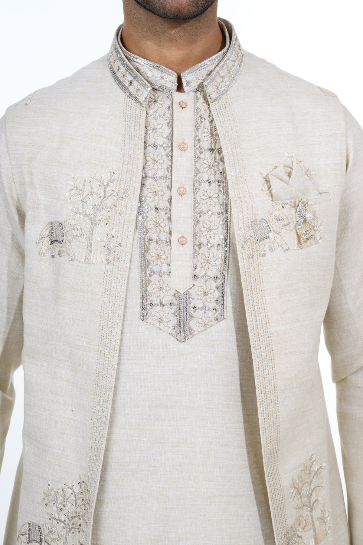 Natural Heritage Layered Indo Western Set